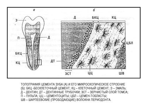 Топография цемента