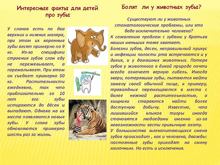 стоматологические факты