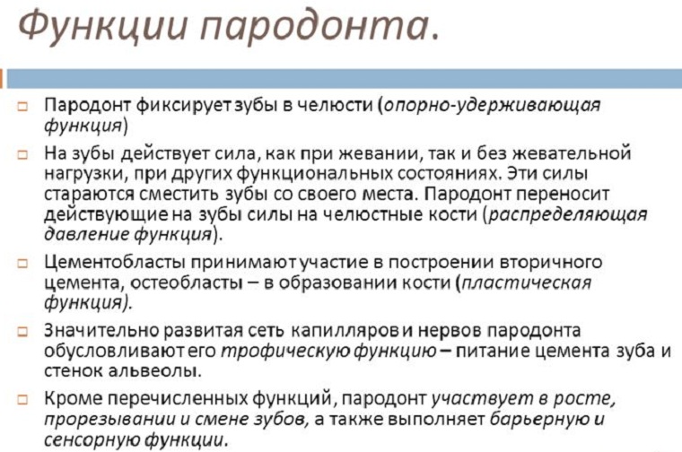 Функции пародонта