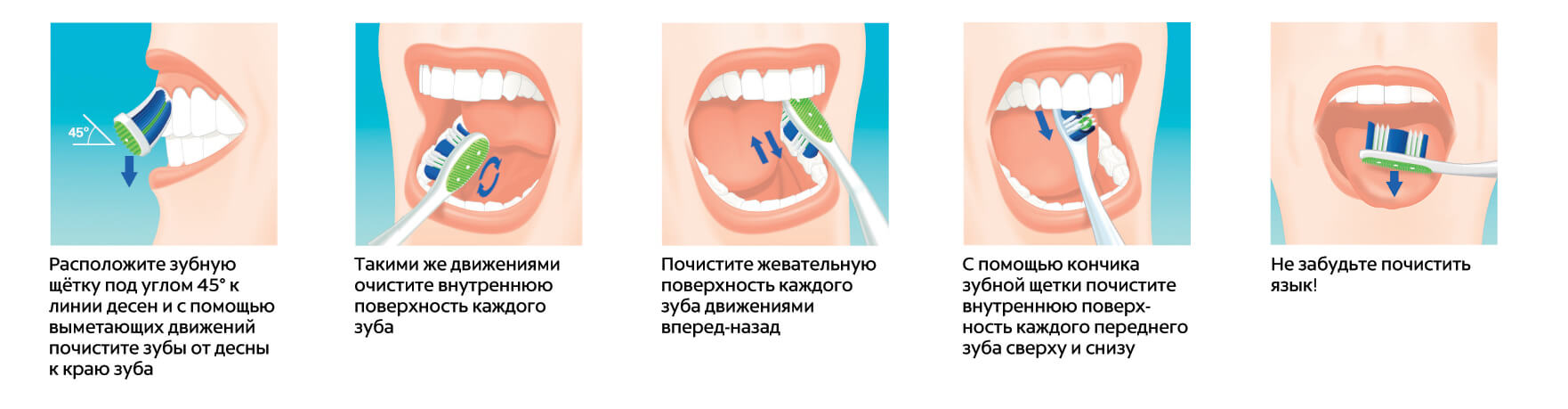 Техника честки зубов