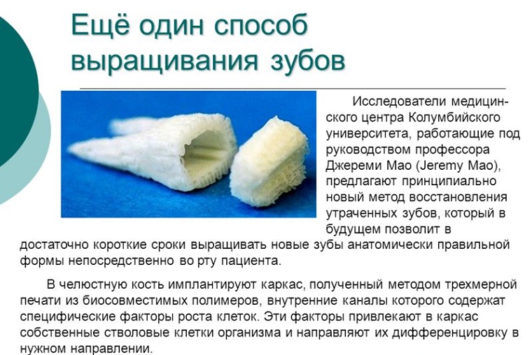 Способ выращивания зубов