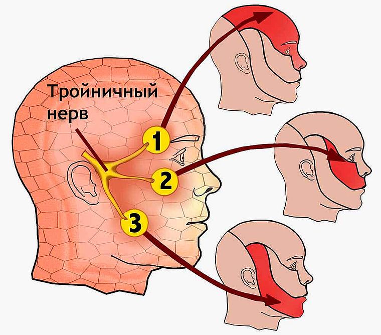лицевой нерв
