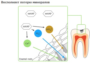 действие Nano-mHAP