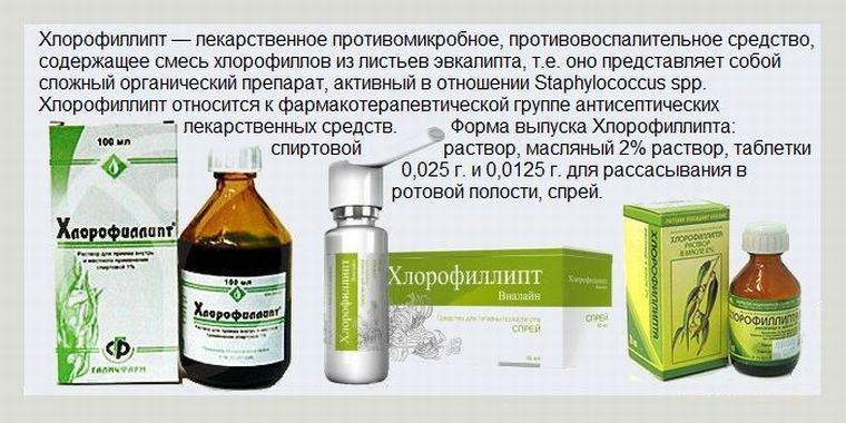 Хлорофиллипт