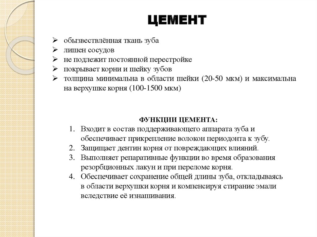 Функции цемента