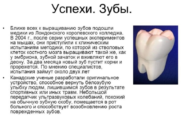 Методы выращивания зубов